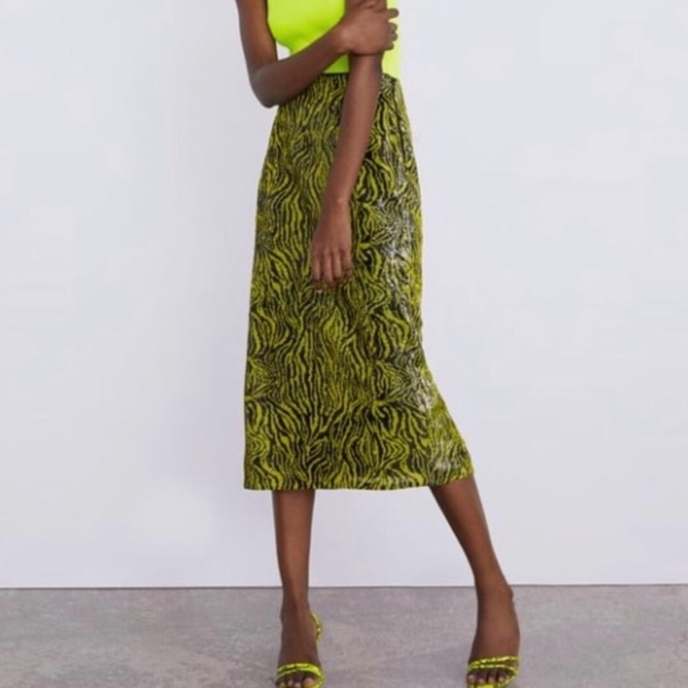 Zara Midi Sequins Skirt